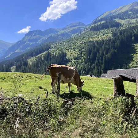 Ahorn Mountainlodge Domek alpejski