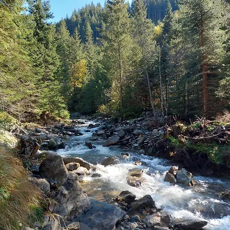 Ahorn Mountainlodge *