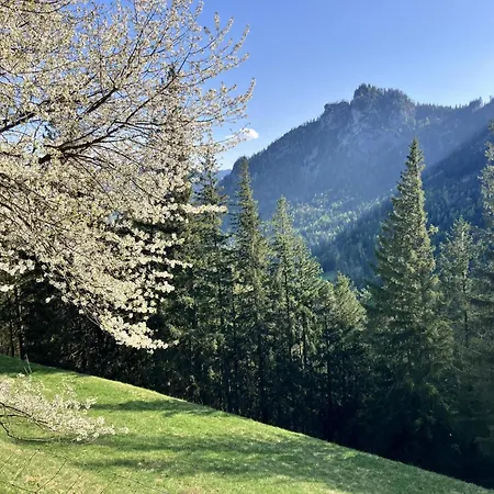 Domek alpejski Ahorn Mountainlodge