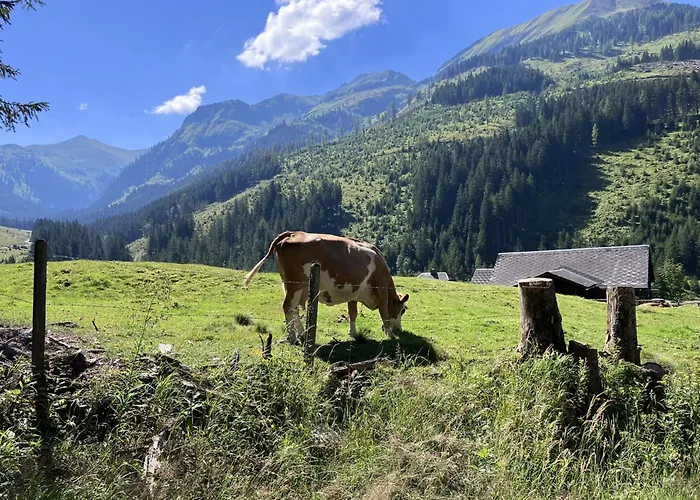 Ahorn Mountainlodge Chalet