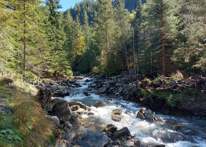 Ahorn Mountainlodge *