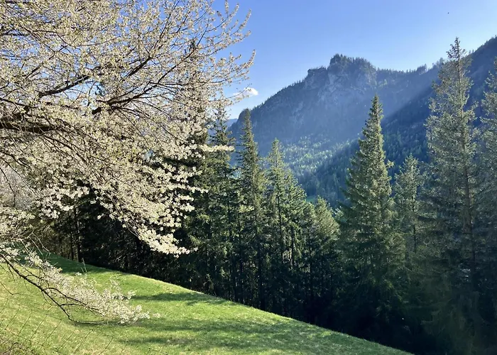 Chalet Ahorn Mountainlodge